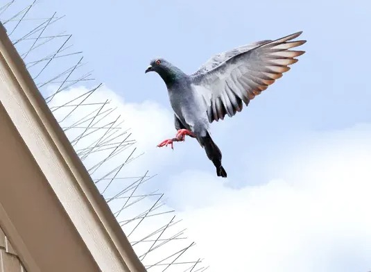 شركة تركيب طارد حمام بخميس مشيط | شركة نسيم الخليج