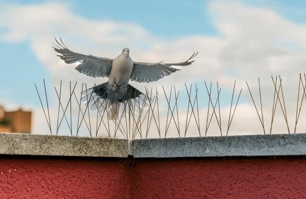 شركة تركيب طارد حمام بابها | شركة نسيم الخليج