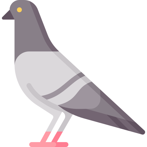 تركيب طارد الحمام