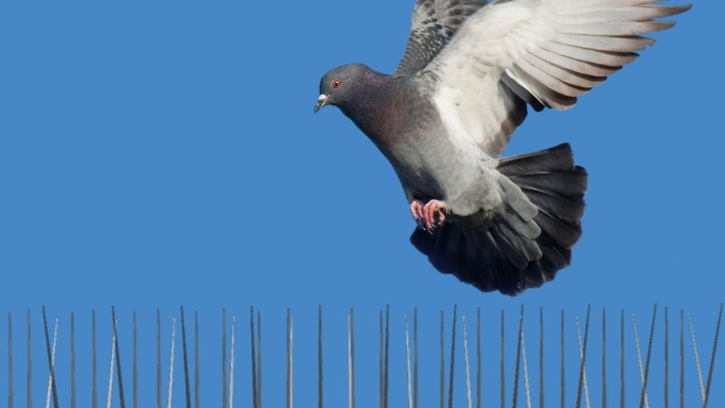 شركة تركيب طارد حمام بخميس مشيط | شركة نسيم الخليج